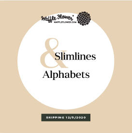 Intro to Alphabet Sentiments