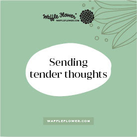 Intro to Tender Thoughts and Blooms