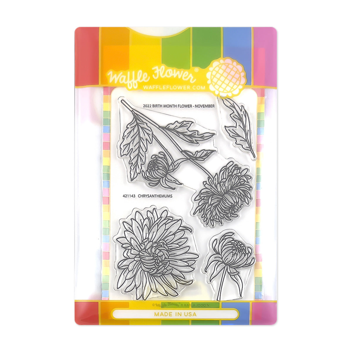 Chrysanthemums Combo