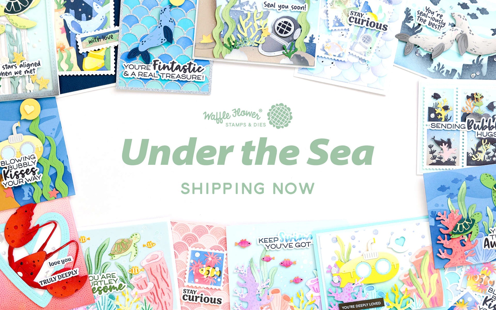 MEDULLA W102 FLOWER & R102 OCEAN セット Under the Sea - Waffle Flower May 2026 Release Highlights