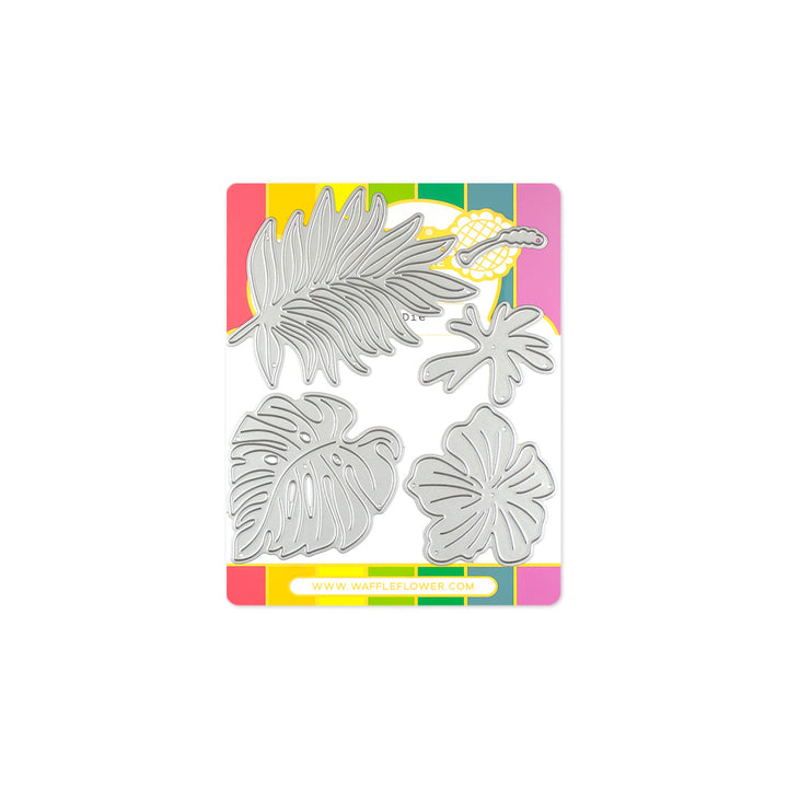 Hibiscus Hibiscus