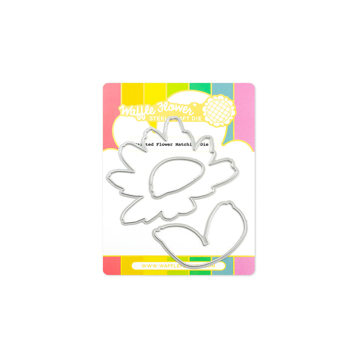 Painted Flower Painted Flower