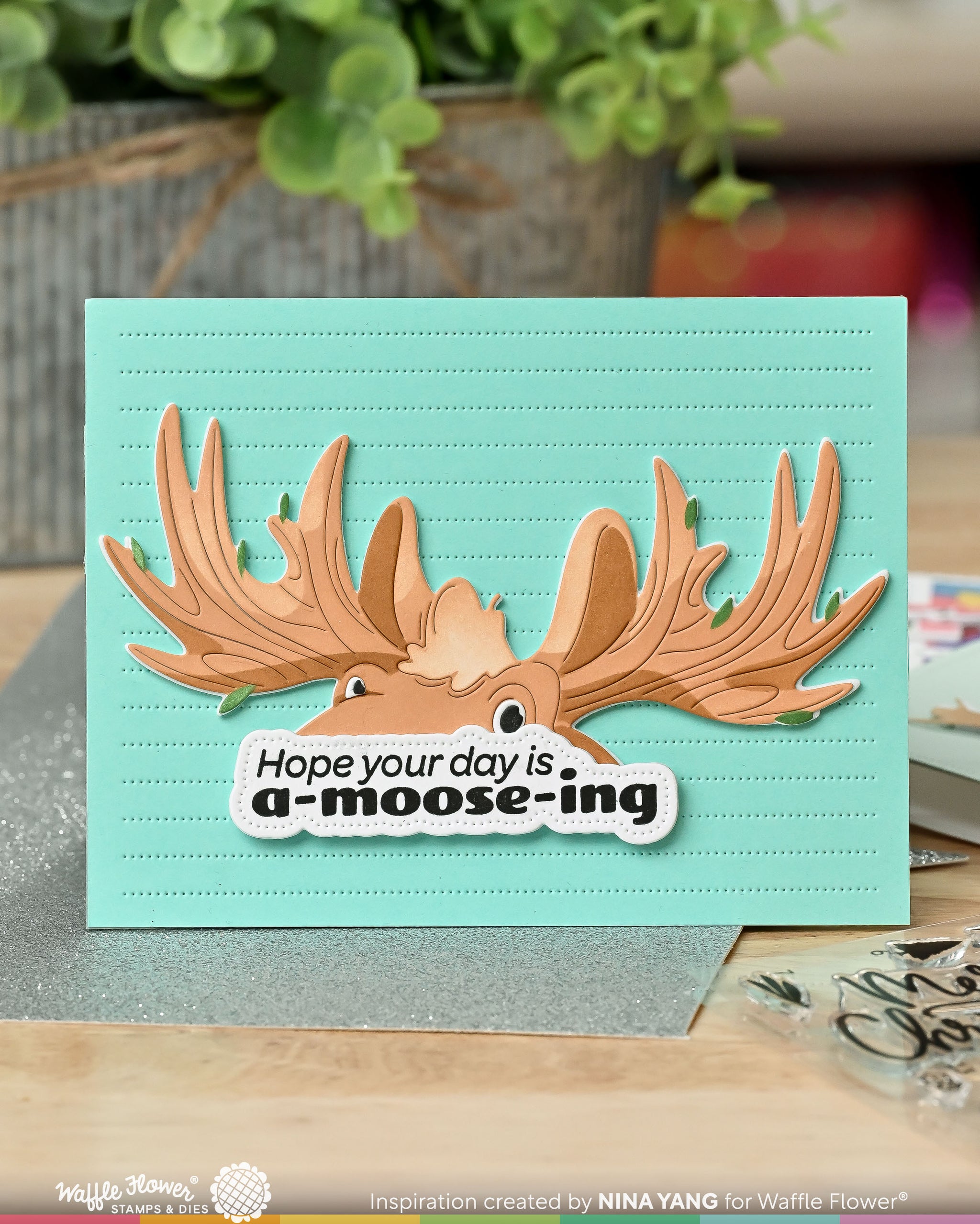 A-moose-ing Sentiments Combo – WaffleFlower.com