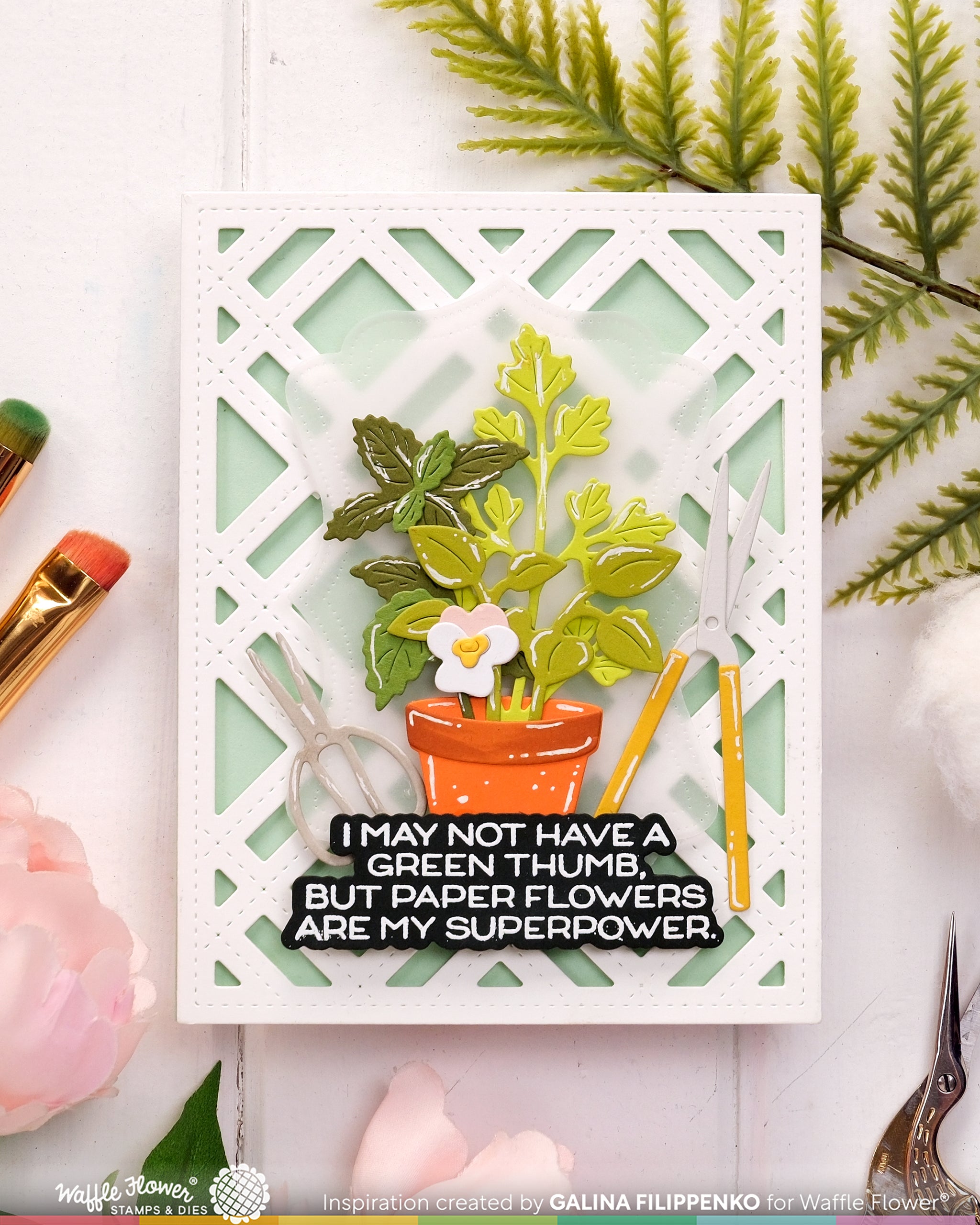 (Pre-Order) Happy Herbs Die