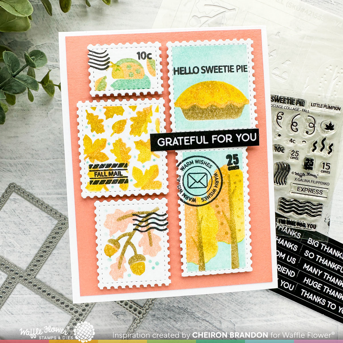 Solid Flower Stamp Set + Die Bundle –