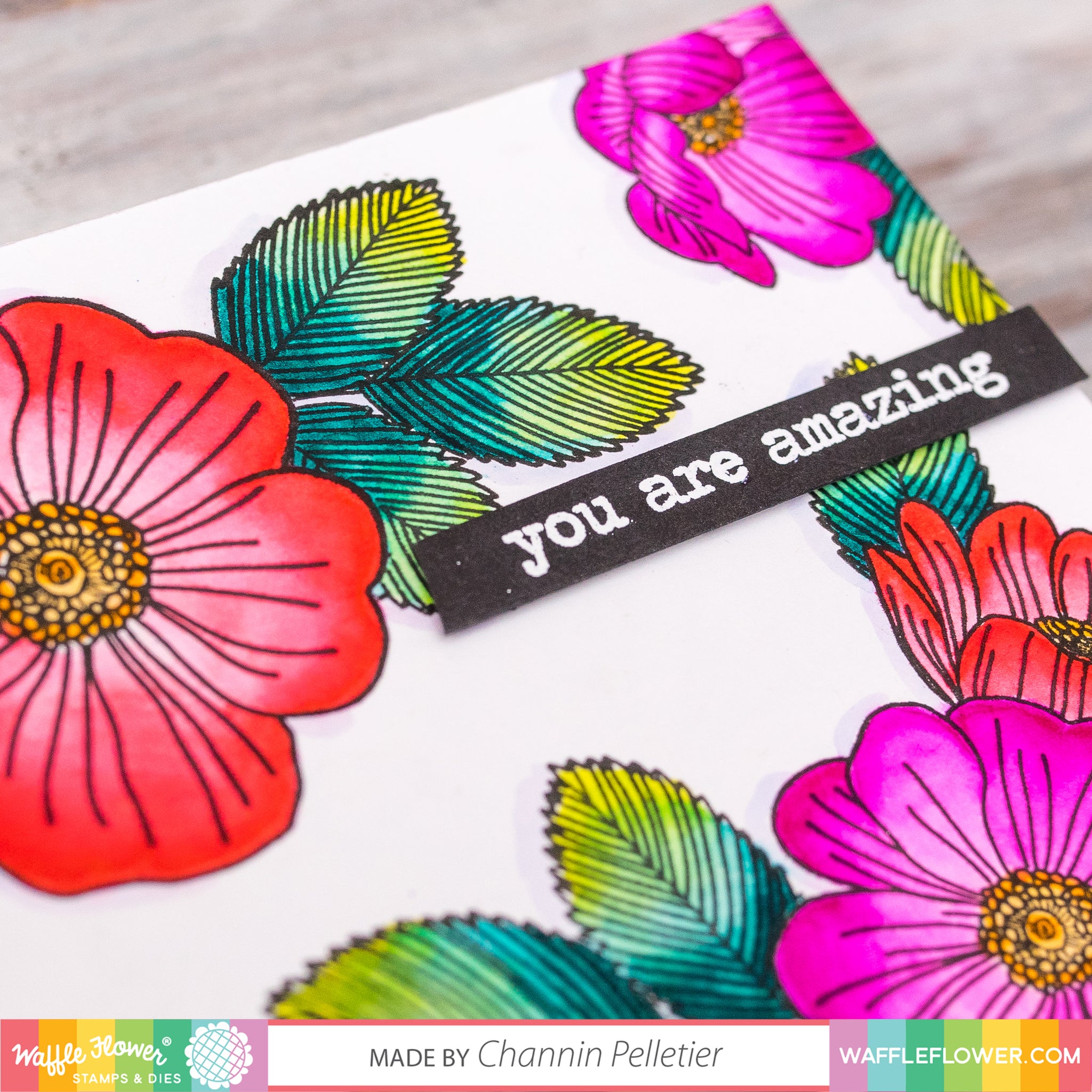 WFC201905-271242_Wild_Roses-