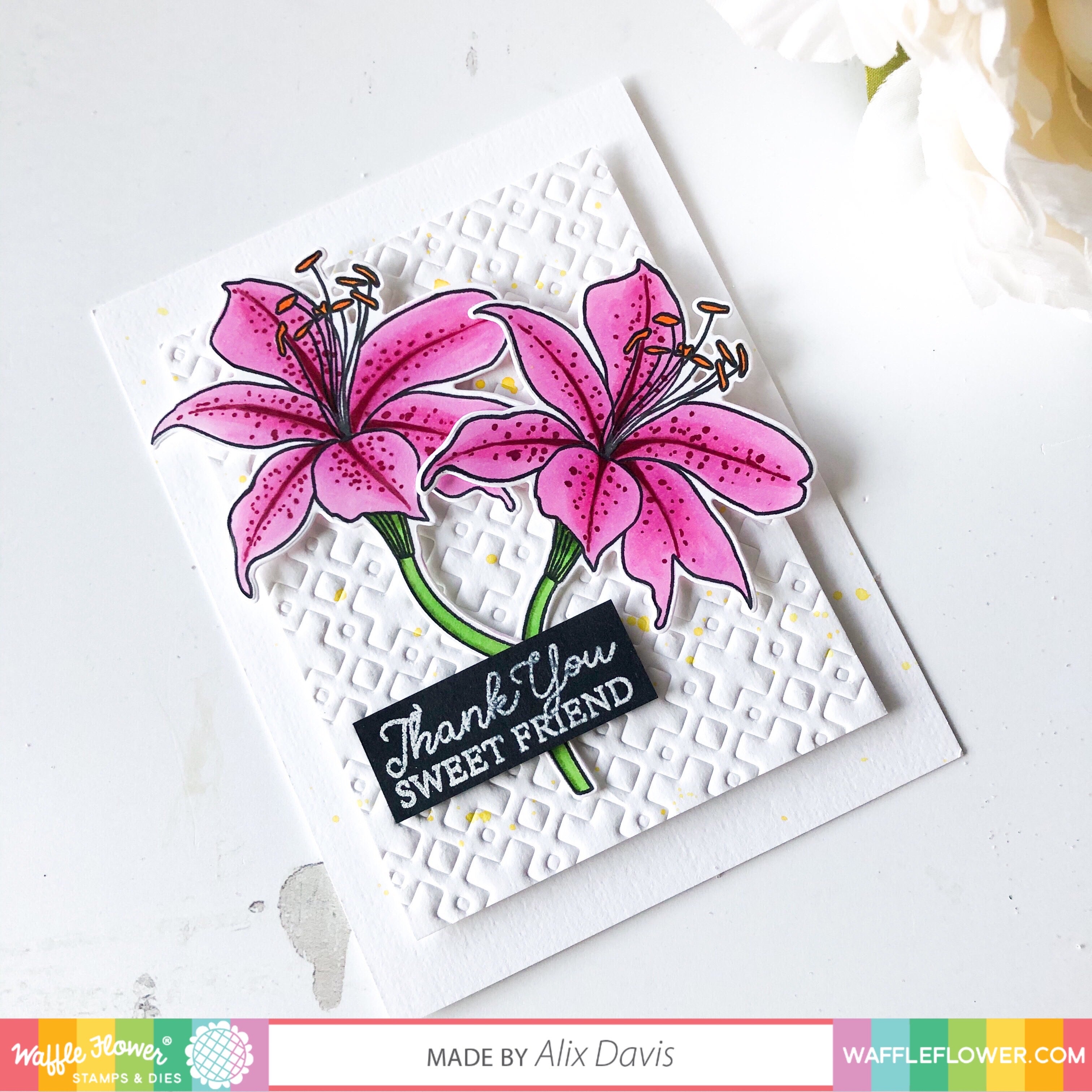 Waffle Flower Story Sentiments Clear Stamps 421069
